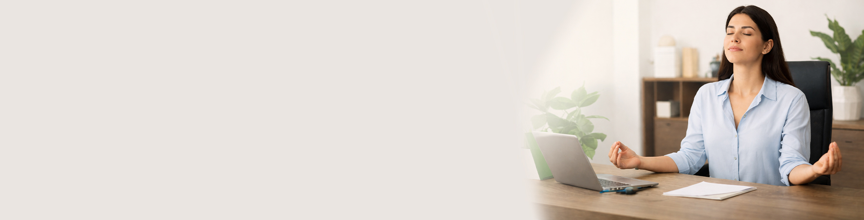 banner-lch